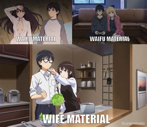 waifus|waifu vs wife.